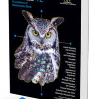 foundations-12-WB-thumb