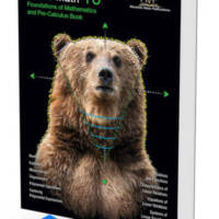 Foundations of Mathematics and Pre-Calculus Mathematics Grade 10 Book