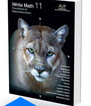 Foundations of Mathematics 11 Book