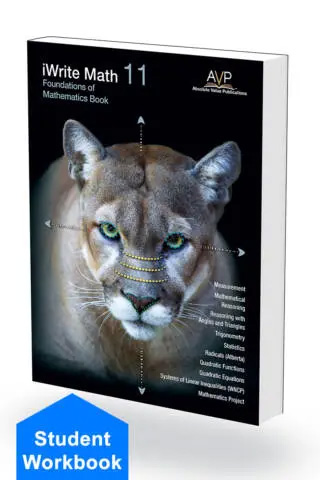 Foundations of Mathematics 11 Book